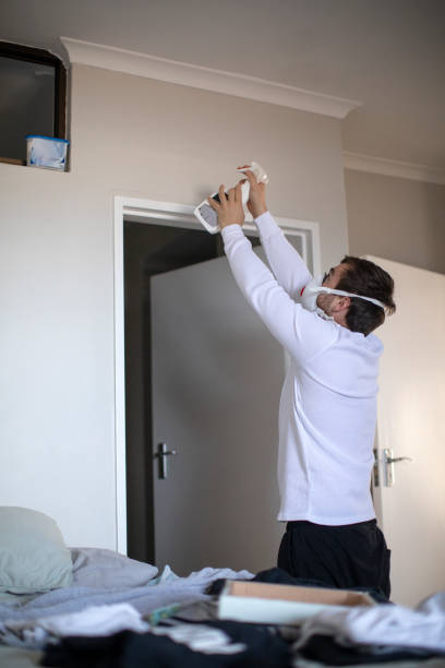 Best Emergency Mold Remediation  in Mason, TN