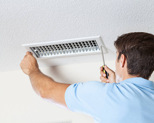 Best Dehumidification Services  in Mason, TN