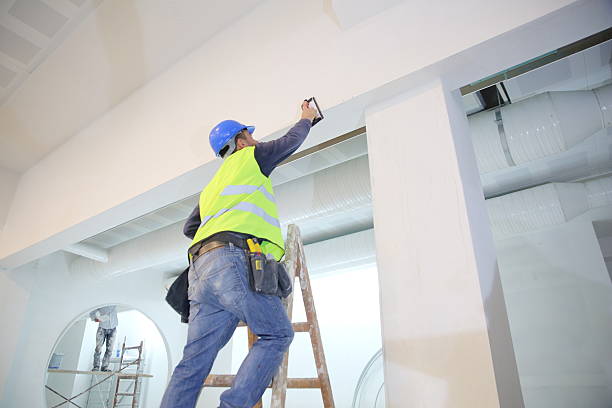 Best Commercial Mold Inspection  in Mason, TN