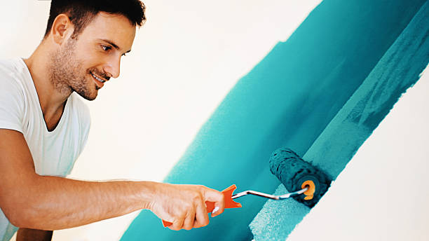 Reliable Mason, TN Mold Removal Solutions